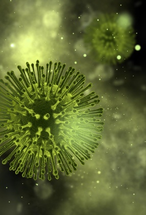 Virus