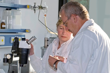 Lab